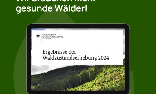 2025-06-13_LH_Aufforstung_Linkedin_Waldzustandserhebung_24-1920w
