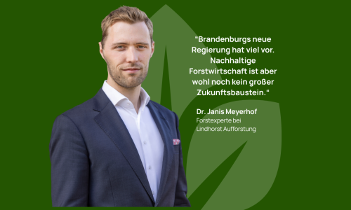Aufforstung_LinkedIn (66)